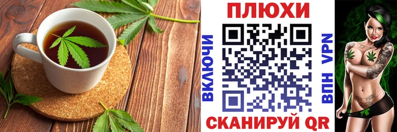 ссылка на мегу как зайти  Шуя  Canna-Cookies марихуана 