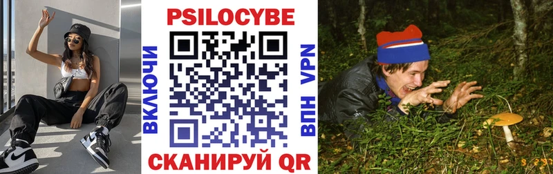 Псилоцибиновые грибы мицелий  Шуя 